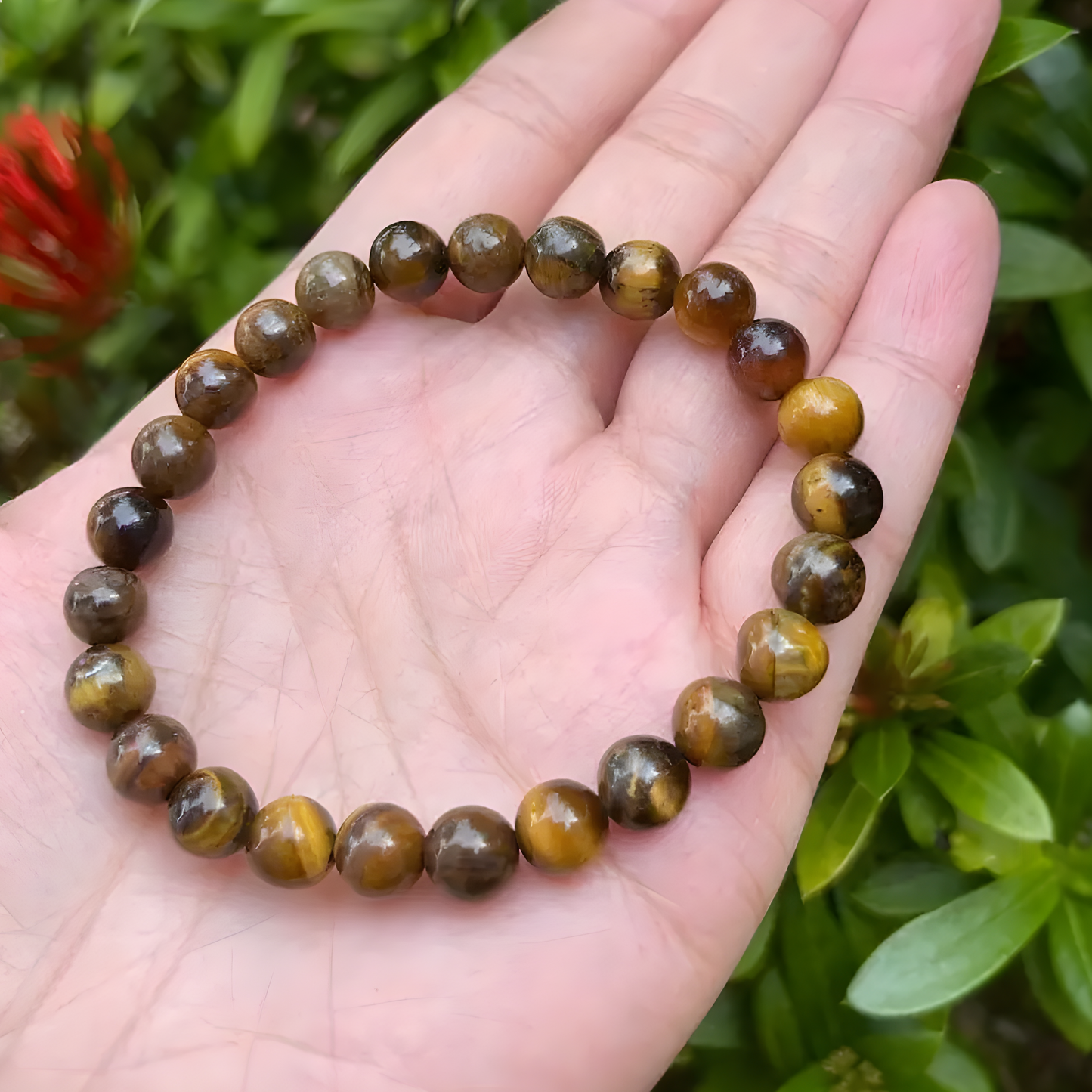 Beads Bracelets (Tiger Eyes) (6 mm)